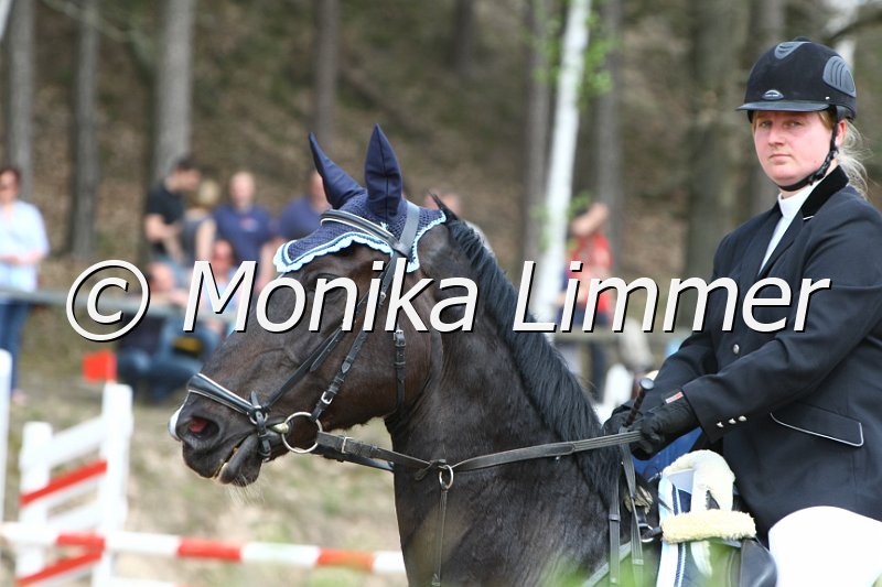 204M0212_Power Man_Spring_Ax.JPG